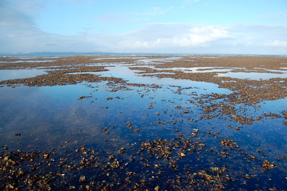 Musselburgh Sands