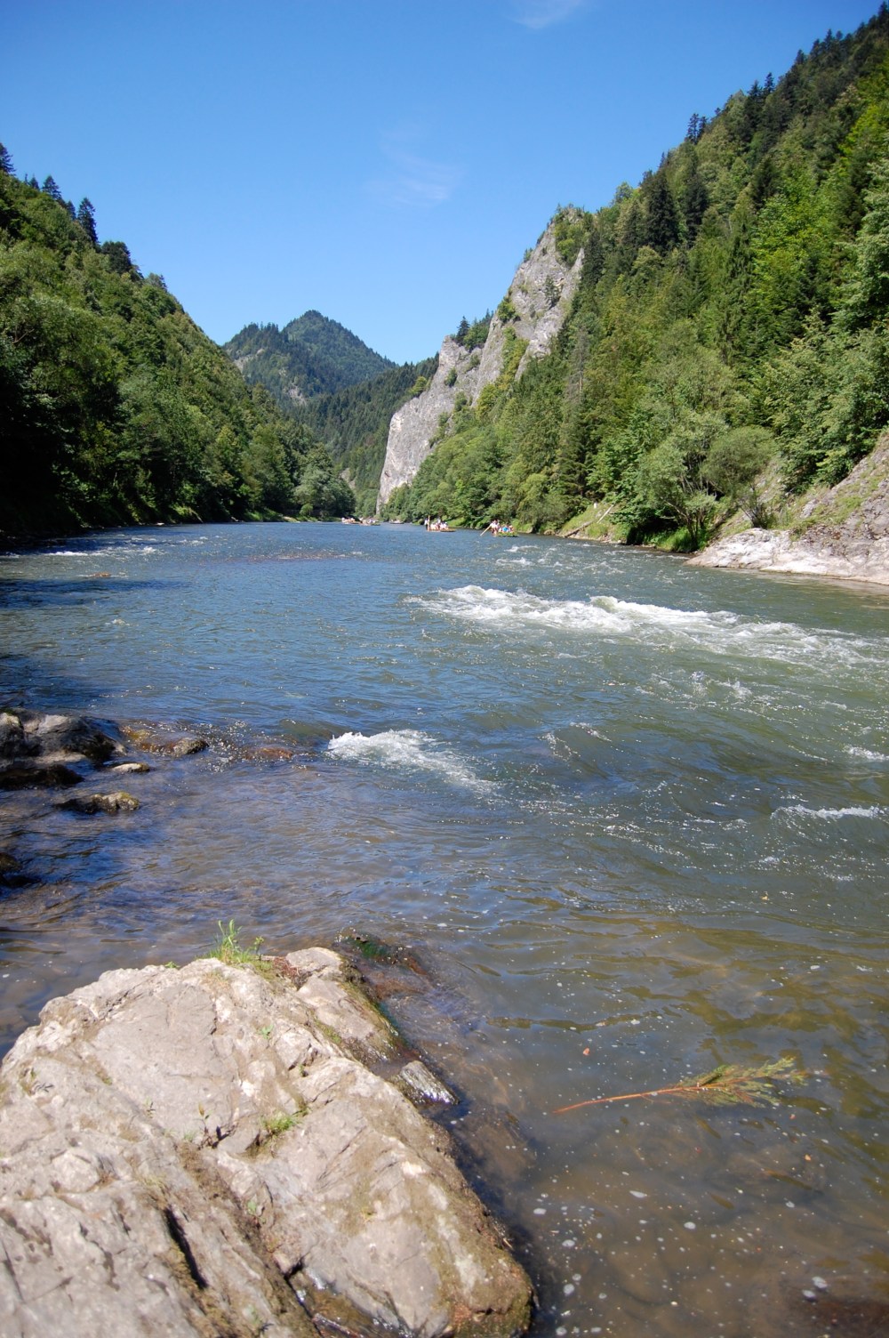 Dunajec Canyon