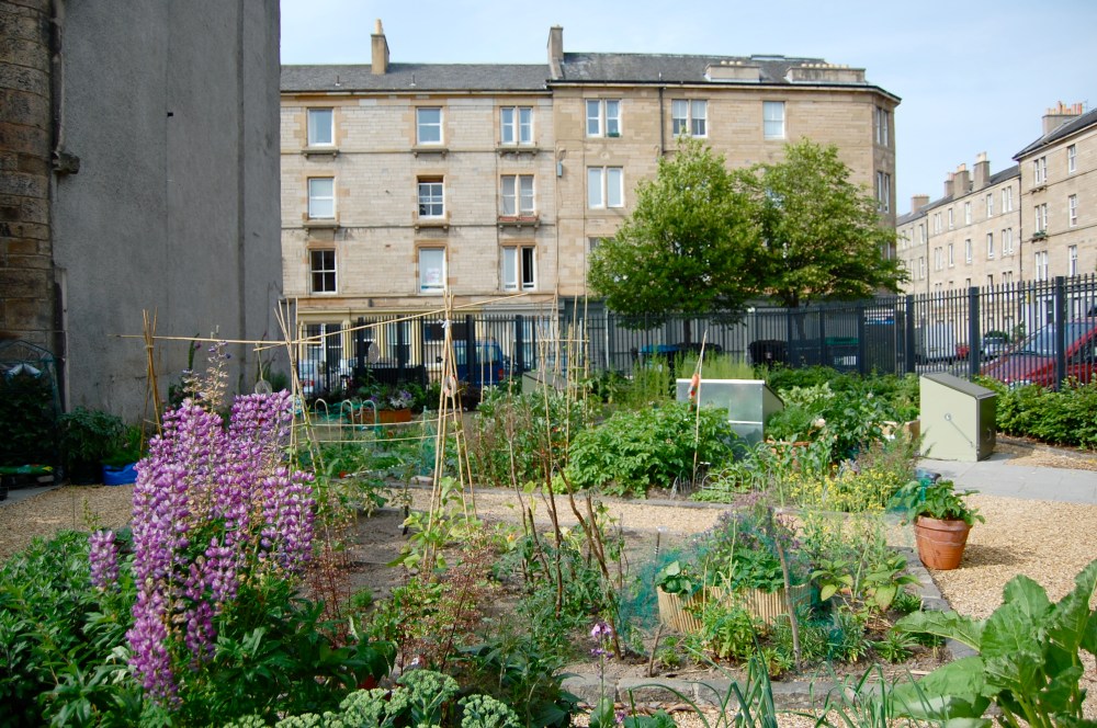 Sugar Mill community garden