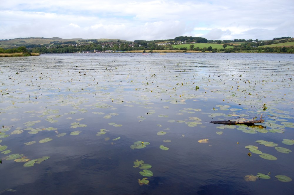 Lochwinnoch