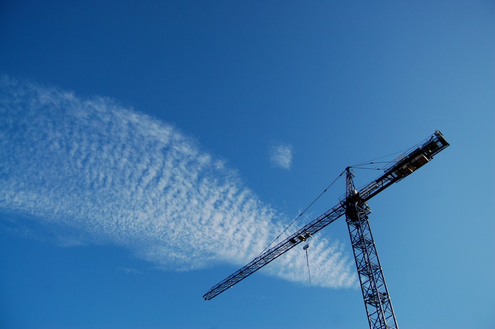 crane