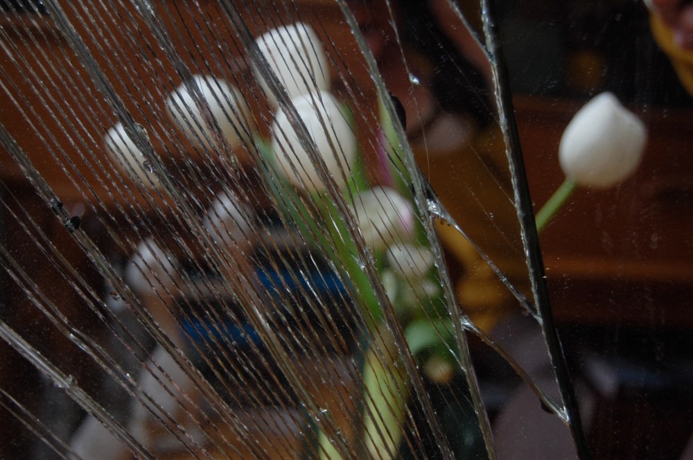 mirror and tulips