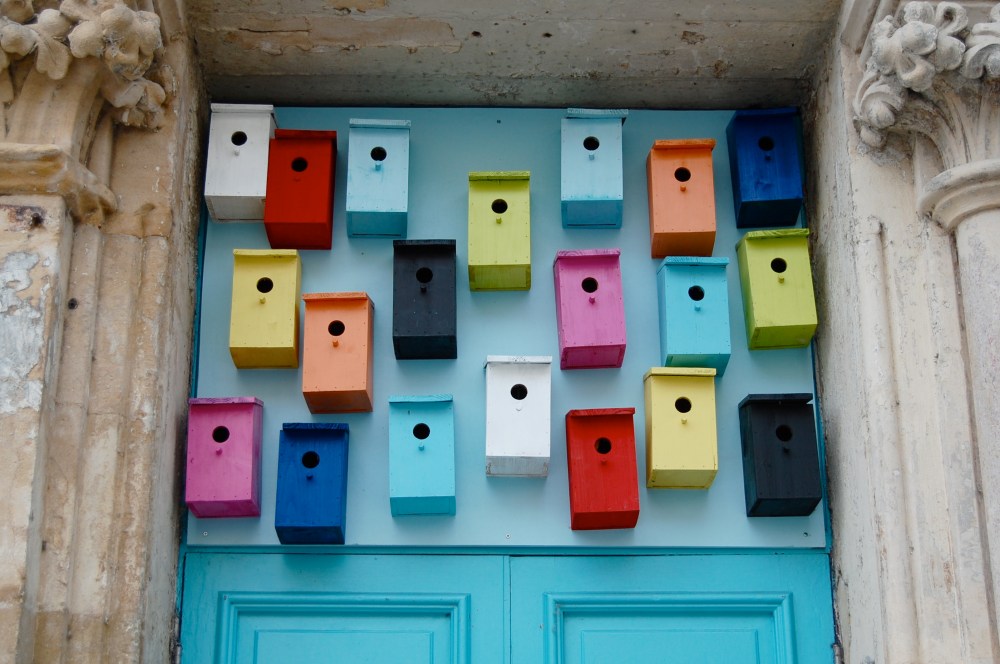 bird boxes