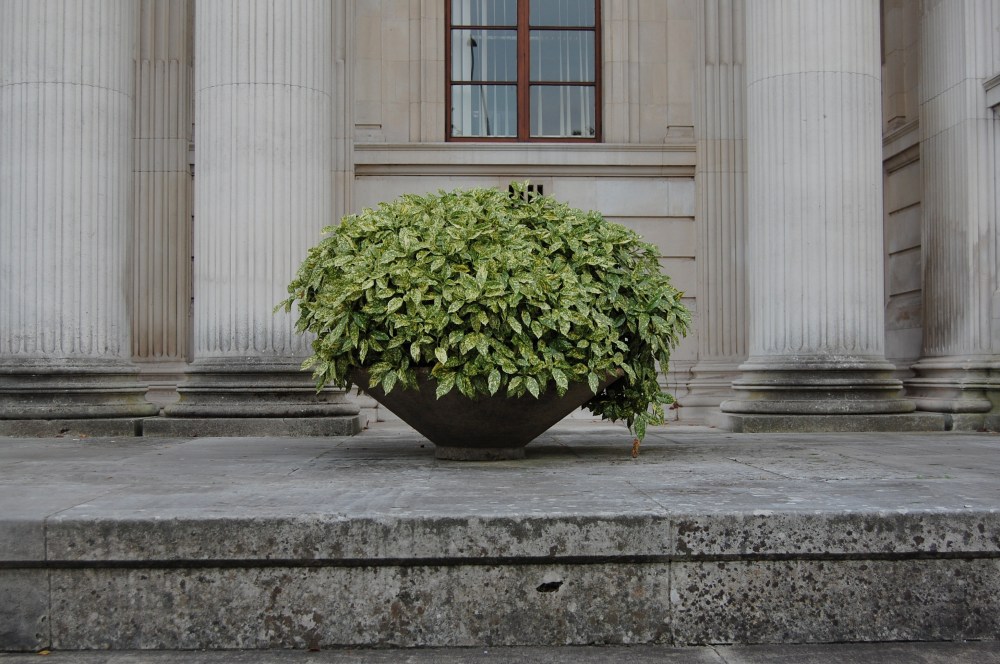 29th glamorgan building