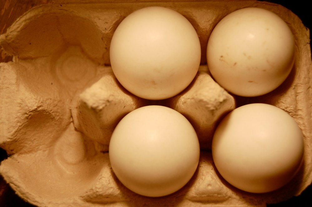 duck eggs