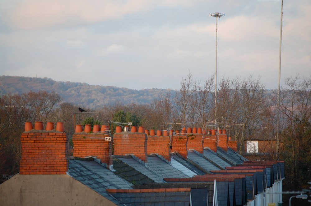 cardiff rooftops