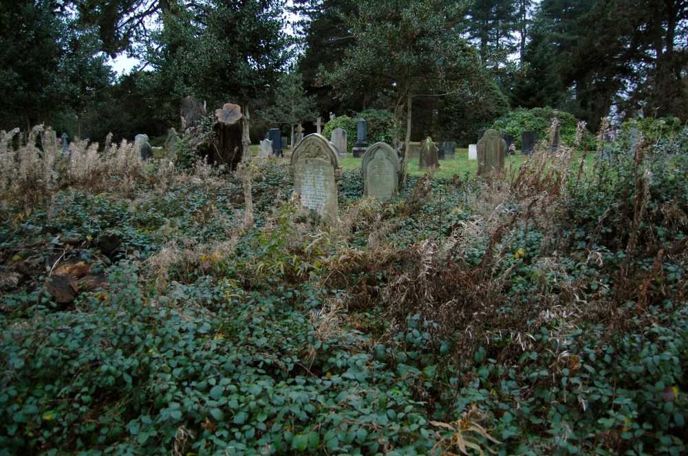 Cathays graveyard