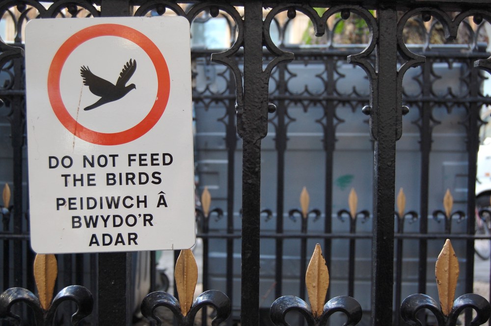 18th do not feed the heyes