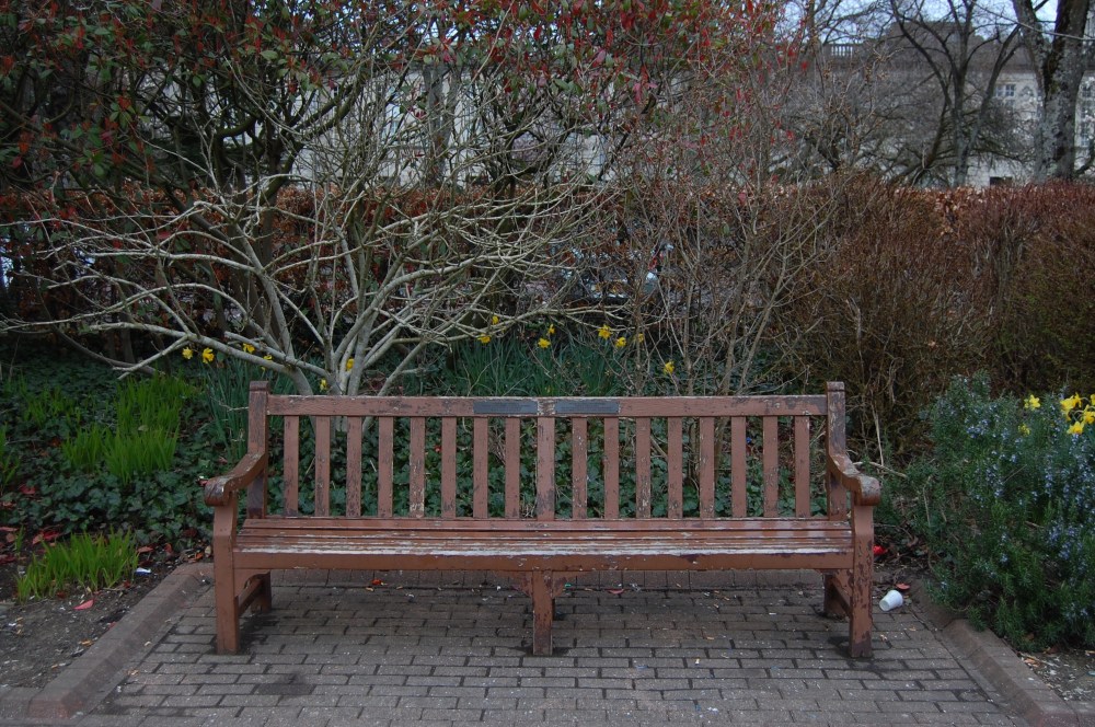 bench