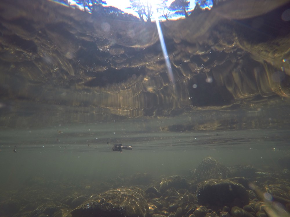 DCIM100GOPROGOPR7989.