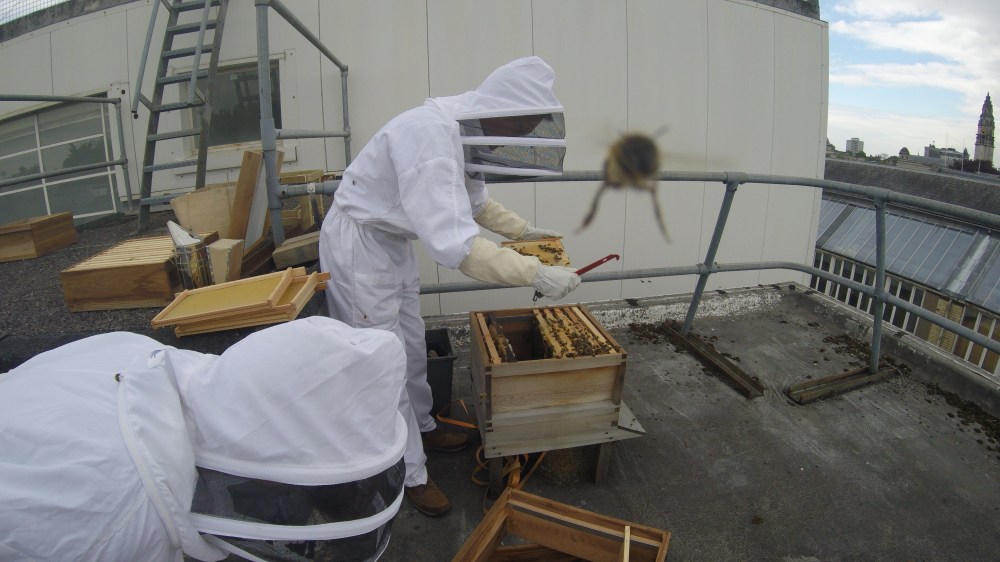 DCIM100GOPROG0018153.